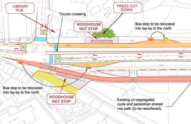 Woodhouse Moor tree felling